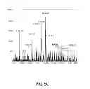 Fig. 09 - Functional fragrance precursor