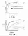 Fig. 04 - NOVEL FORMULATIONS AND USES FOR CURCUMA EXTRACTS