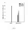 Fig. 07 - COSMETIC COMPOSITION COMPRISING CHRYSOPHANOL AS ACTIVE INGREDIENT FOR SKIN WHITENING
