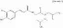 Fig. 04 - COSMETIC COMPOSITION FOR SKIN WHITENING COMPRISING SMALL MOLECULE-PEPTIDE CONJUGATE