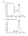 Fig. 10 - Single chain fusion polypeptides comprising soluble light cytokine domains