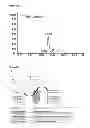 Fig. 12 - Single chain fusion polypeptides comprising soluble light cytokine domains