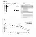 Fig. 15 - Single chain fusion polypeptides comprising soluble light cytokine domains