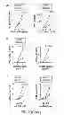 Fig. 06 - Method for generating potent dendritic cells