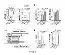 Fig. 07 - Method for generating potent dendritic cells
