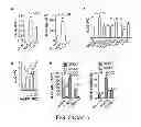 Fig. 08 - Method for generating potent dendritic cells