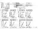 Fig. 09 - Method for generating potent dendritic cells
