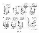 Fig. 12 - Method for generating potent dendritic cells