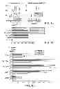 Fig. 14 - Method for generating potent dendritic cells