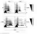 Fig. 07 - Method for the treatment of multiple sclerosis