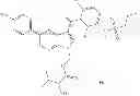 Fig. 24 - Substituted azaindole compounds, salts, pharmaceutical compositions thereof and methods of use