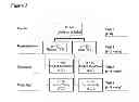 Fig. 03 - Bifidobacterium bifidum strains for application in gastrointestinal diseases