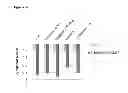 Fig. 05 - Bifidobacterium bifidum strains for application in gastrointestinal diseases