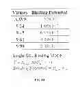 Fig. 17 - Viral vectors with modified transduction profiles and methods of making and using the same