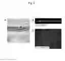 Fig. 03 - Method for producing myocardial sheet from embryonic stem cell