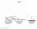 Fig. 06 - Method for producing myocardial sheet from embryonic stem cell
