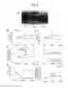 Fig. 10 - Method for producing myocardial sheet from embryonic stem cell