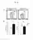 Fig. 11 - Method for producing myocardial sheet from embryonic stem cell