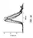 Fig. 07 - RECOMBINANT FACTOR VIII HAVING INCREASED STABILITY