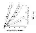 Fig. 13 - RECOMBINANT FACTOR VIII HAVING INCREASED STABILITY