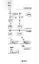 Fig. 05 - isolates and methods of their use to protect against plant pathogens and virus transmission