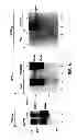 Fig. 10 - ANTAGONISTS OF NEUROPILIN RECEPTOR FUNCTION AND USE THEREOF