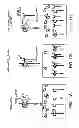Fig. 13 - ANTAGONISTS OF NEUROPILIN RECEPTOR FUNCTION AND USE THEREOF