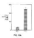 Fig. 25 - ANTAGONISTS OF NEUROPILIN RECEPTOR FUNCTION AND USE THEREOF