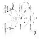 Fig. 02 - Methods for Treating Conditions Associated with MASP-2 Dependent Complement Activation