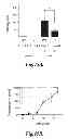 Fig. 60 - Methods for Treating Conditions Associated with MASP-2 Dependent Complement Activation