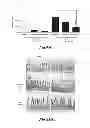 Fig. 61 - Methods for Treating Conditions Associated with MASP-2 Dependent Complement Activation