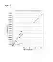 Fig. 16 - METHOD TO IDENTIFY A PATEINT WITH AN INCREASED LIKELIHOOD OF RESPONDING TO AN ANTI-CANCER THERAPY