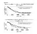 Fig. 31 - METHOD TO IDENTIFY A PATEINT WITH AN INCREASED LIKELIHOOD OF RESPONDING TO AN ANTI-CANCER THERAPY
