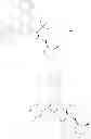 Fig. 78 - TRIAZOLE COMPOUNDS AS KSP INHIBITORS
