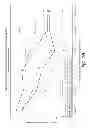 Fig. 12 - COMPOSITIONS AND METHOD FOR TREATING AUTOIMMUNE DISEASES