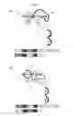 Fig. 06 - Dual variable region antibody-like binding proteins having cross-over binding region orientation