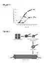 Fig. 05 - Antibodies to TTR and methods of use