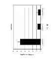 Fig. 07 - Methods for reducing global chronic inflammation and the presence of melanoma