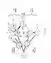 Fig. 15 - Methods for reducing global chronic inflammation and the presence of melanoma
