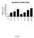 Fig. 05 - Aldosterone induced vascular elastin production