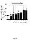 Fig. 09 - Aldosterone induced vascular elastin production