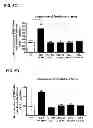 Fig. 11 - Aldosterone induced vascular elastin production