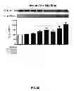 Fig. 15 - Aldosterone induced vascular elastin production