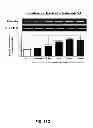 Fig. 30 - Aldosterone induced vascular elastin production