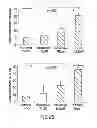 Fig. 06 - FTY720 Increases CD74 Expression and Sensitizes Cancer Cells to Anti-CD74 Antibody-Mediated Cell Death