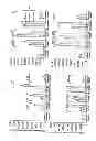 Fig. 10 - FTY720 Increases CD74 Expression and Sensitizes Cancer Cells to Anti-CD74 Antibody-Mediated Cell Death