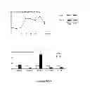 Fig. 03 - METHODS AND  COMPOSITIONS FOR TREATING INFLAMMATORY CONDITIONS