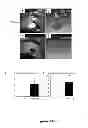 Fig. 11 - METHODS AND  COMPOSITIONS FOR TREATING INFLAMMATORY CONDITIONS