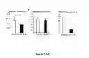 Fig. 14 - METHODS AND  COMPOSITIONS FOR TREATING INFLAMMATORY CONDITIONS