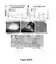 Fig. 18 - METHODS AND  COMPOSITIONS FOR TREATING INFLAMMATORY CONDITIONS